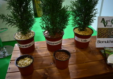 The three different types of biomulching of Agri Vivai. 